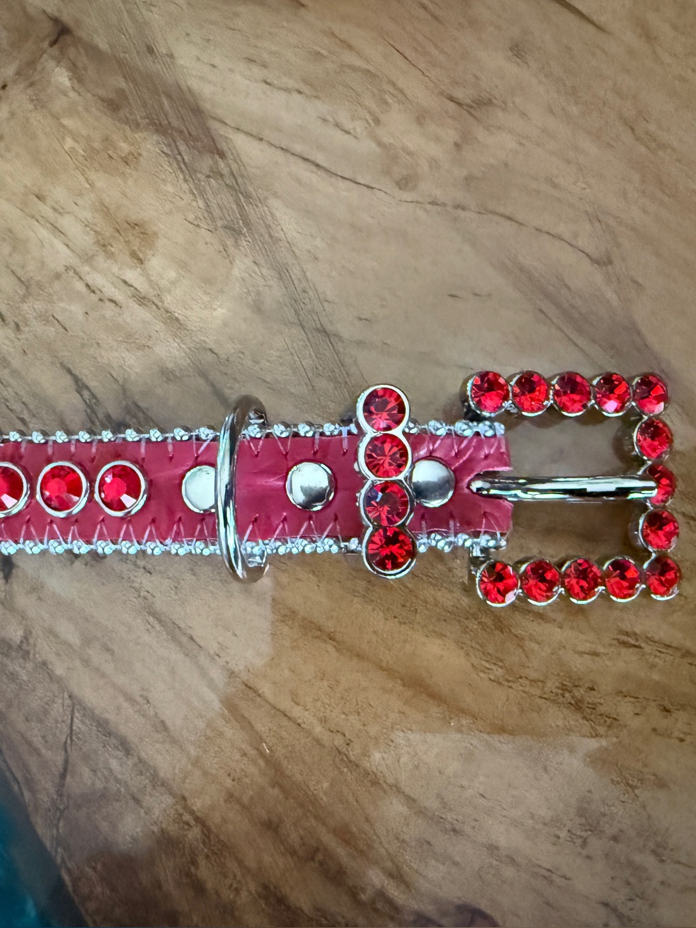 B.B. Simon Red Crystal Buckle and Strap Dog Collar